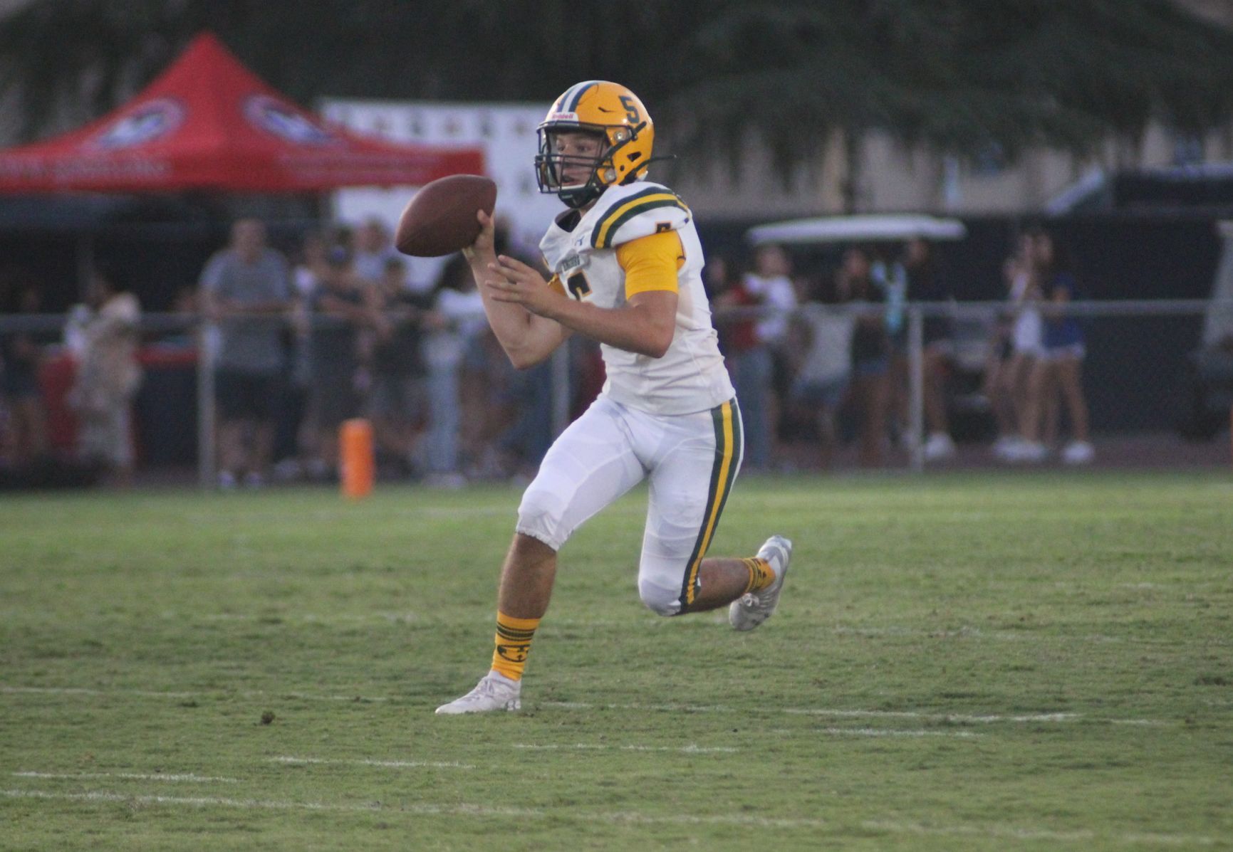Vikings upset San Joaquin Memorial